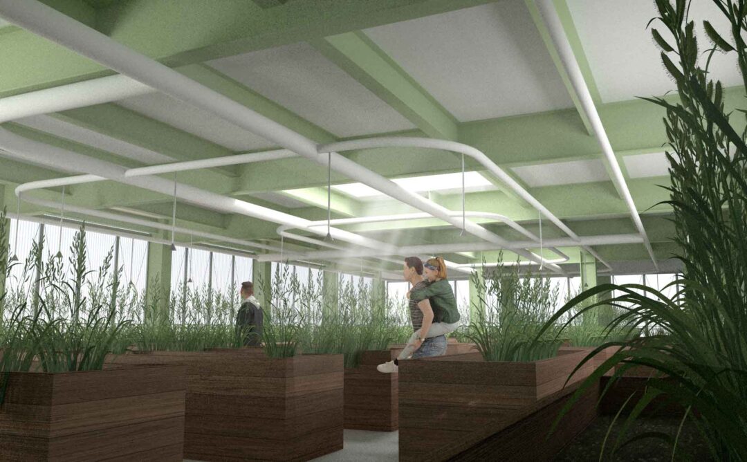 planting area create kind of healing space